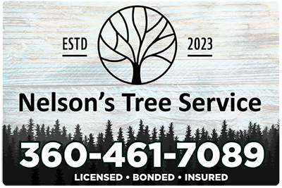 Snohomish WA Tree Services